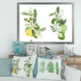 thumbnail image 3 of Designart 'Bouquets Of Blooming Lemon Tree Branches on White' Traditional Framed Art Print, 3 of 4