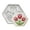 B, variant on Hexagon Tulip Cookie Cutter and Emboss Stamp, 3.5 Inch, Food-Safe Plastic for Mother’s Day Baking