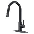 thumbnail image 1 of Grifo de cocina FORIOUS negro con pulverizador desplegable de acero inoxidable, 1 of 7