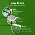 100-sq-ft-big-roll-year-around-green-grass-mixture-walmart