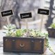 thumbnail image 5 of Vetable En Labels, Mini Board Plant Labels For Heilwiy Flower Pot Potted, 5 of 5