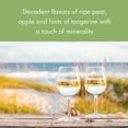thumbnail image 3 of SEAGLASS Alcohol Removed Pinot Grigio White Wine, 750mL Wine Bottle, 3 of 8