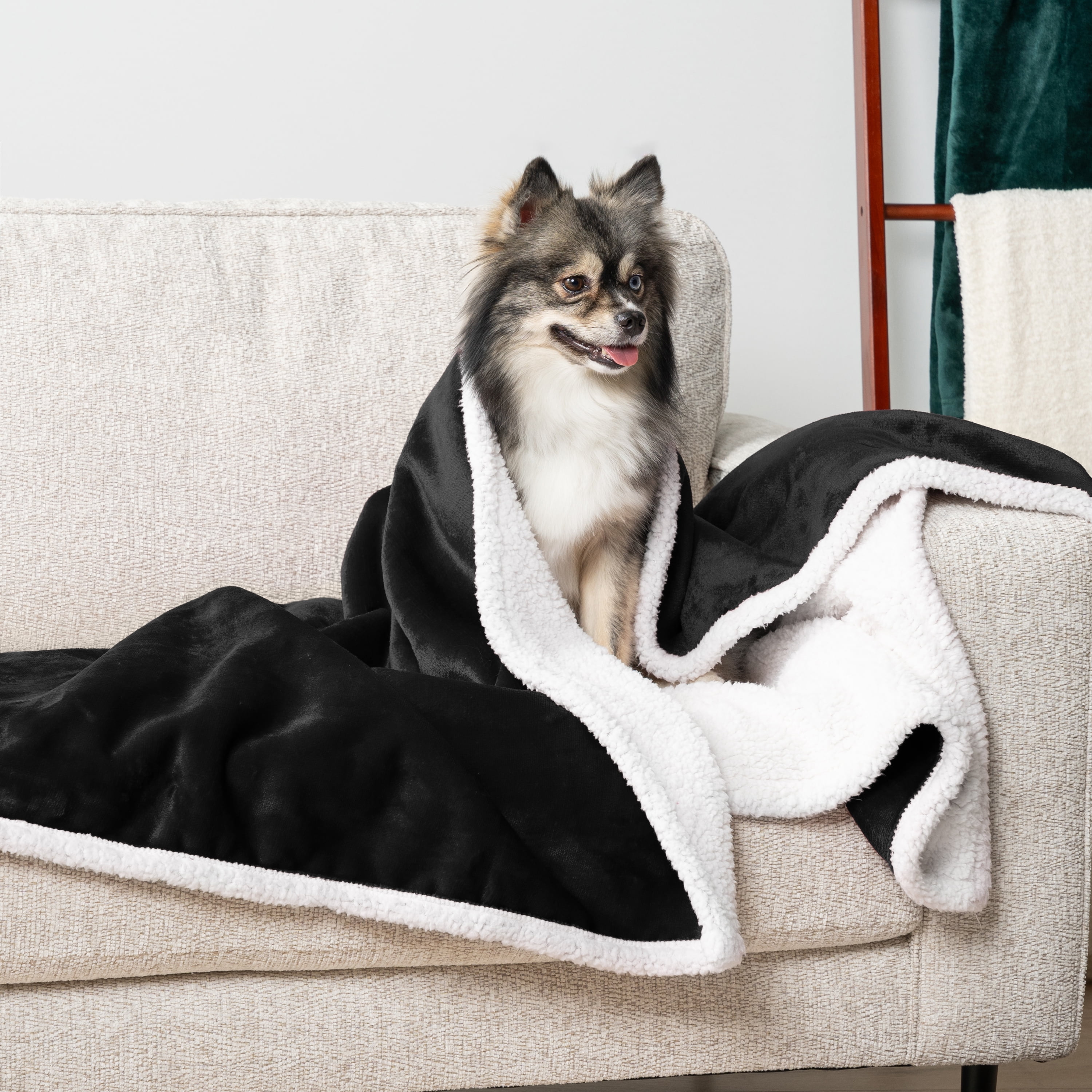 PetAmi Waterproof Dog Blanket for Small Medium Dog Puppy Cat Throw for Couch Cover Leakproof Protection, Sherpa Fleece, Reversible Soft Washable 29x40 Black