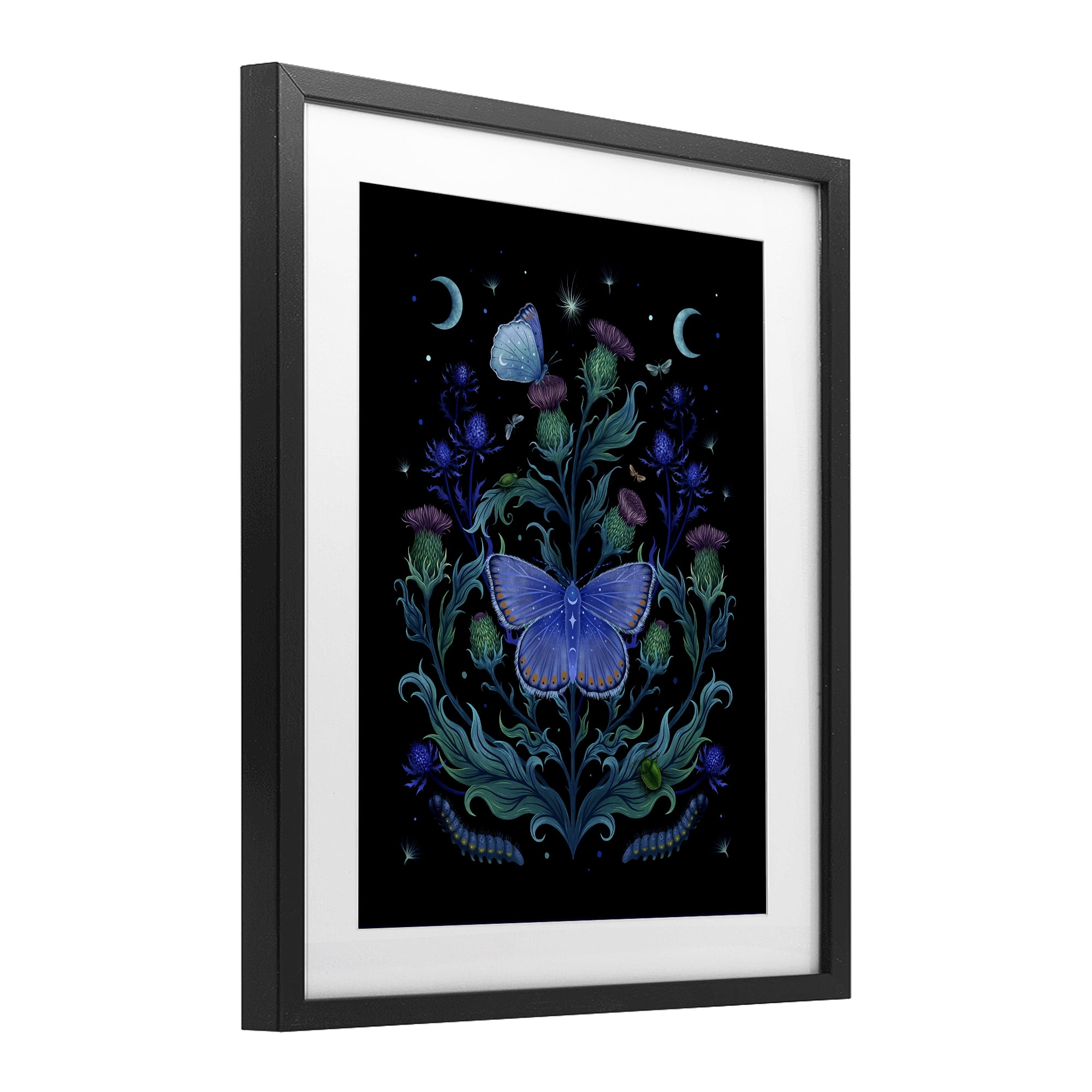 Stupell Industries Thistles & Insects at Night Black Framed Print Under Glass, design by Episodic Drawings