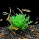 thumbnail image 5 of Plantas De Agua De Simulación De Buena Decoración De Plástico, Plantas De Agua De Simulación De Pecera Convenientes, Animales De Mascotas De Acuario Para Pecera, 5 of 7