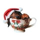 thumbnail image 2 of Mom's Best Adorno navideño de perro salchicha, cachorro navideño en tazas, adorno colgante para árbol de Navidad, espejo retrovisor de coche, adorno de perro dormilón, colección navideña, 2 of 2