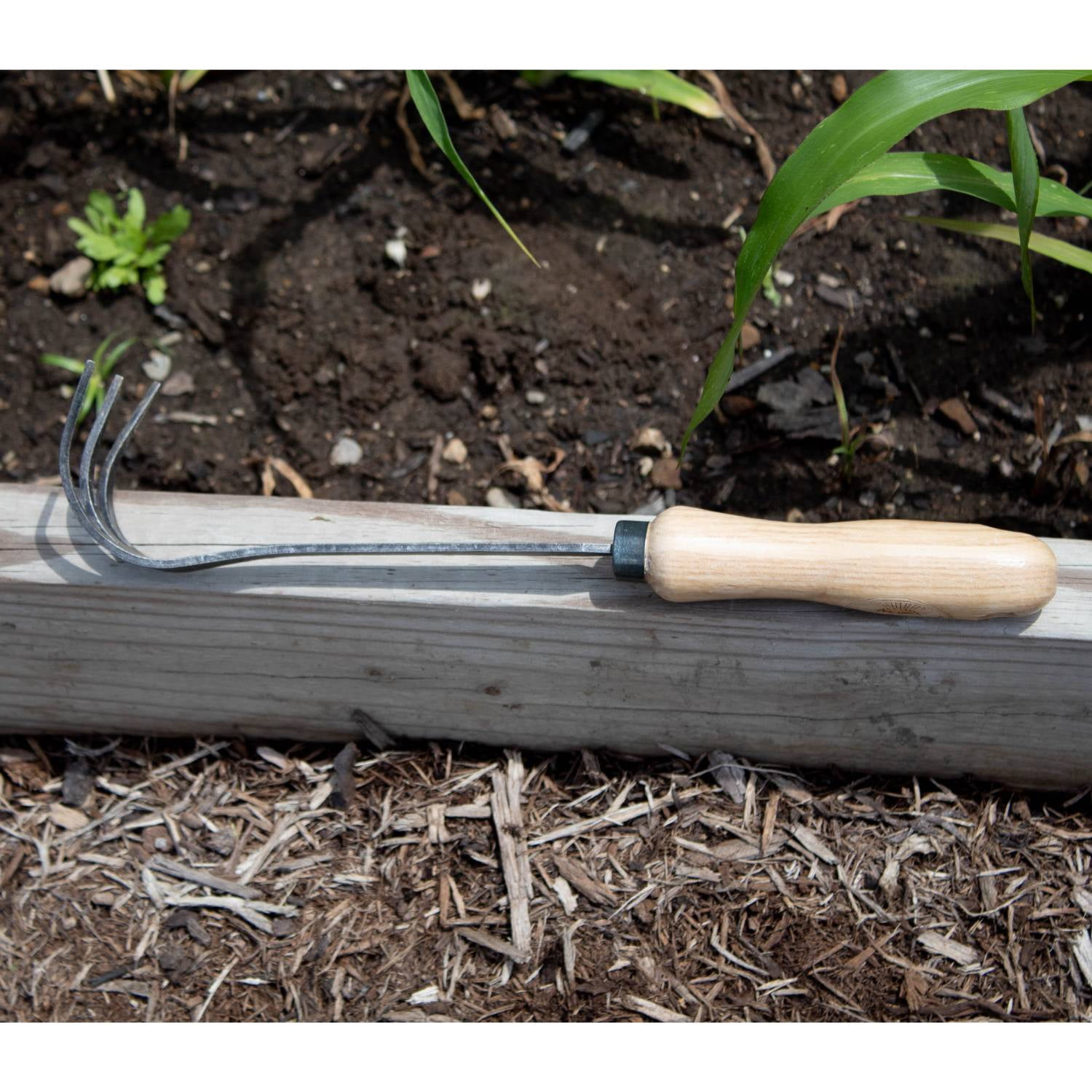 Dewit Bio 3 Tine Cultivator - Aerates Soil with Tempered Boron Steel Tines and Ash Wood Handle, 12.5 inches long