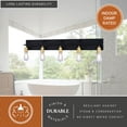 thumbnail image 5 of Seward Park 5 Light Black and Satin Gold Brass Industrial Bathroom Vanity Fixture with Full Backplate, 5 of 9