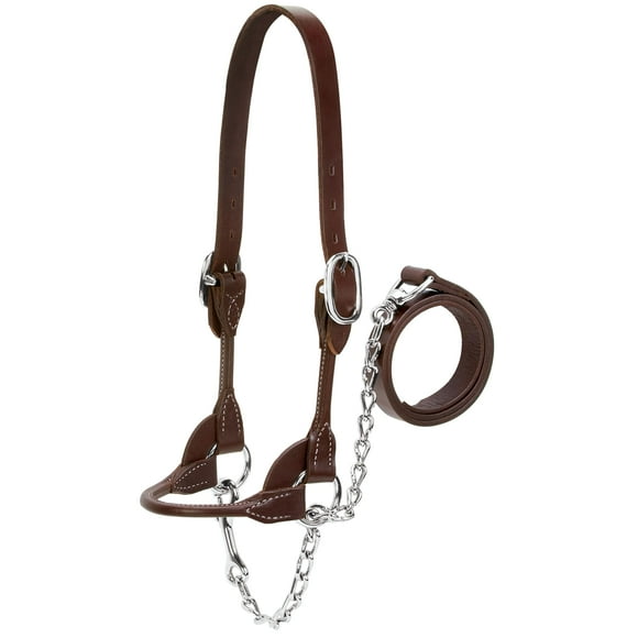 Weaver Leather Dairy/Beef Rounded Show Halter, Brown, Small