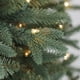 Holiday Time Pre-Lit 7.5' Sanford Fir Artificial Christmas Tree, Clear ...