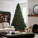 thumbnail image 4 of Árbol de Navidad, National Tree Company, North Valley Spruce, 10 pies, 4 of 5