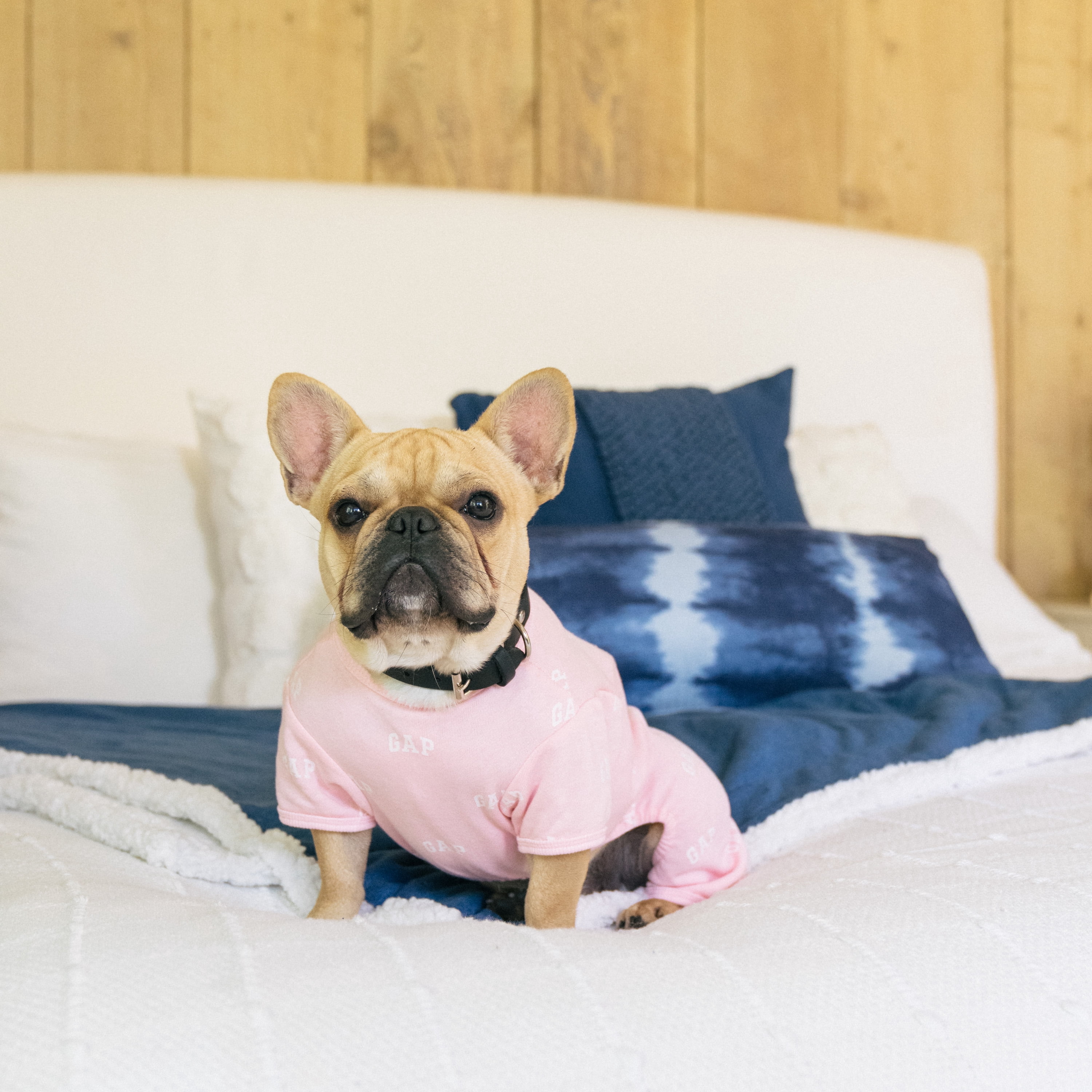 Gap Pet, Dog Clothes, Pink Logo Print Pet Pajama