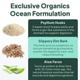 thumbnail image 4 of Organics Ocean Better Fiber Supplement with Psyllium Husk & Slippery Elm – 90 Capsules – Gut & Digestive Support, 4 of 9