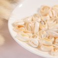 thumbnail image 4 of 50Pcs Natural Sea Shell Loose Beads Decor Diy Craft Pendant Jewelry Accessories, 4 of 6