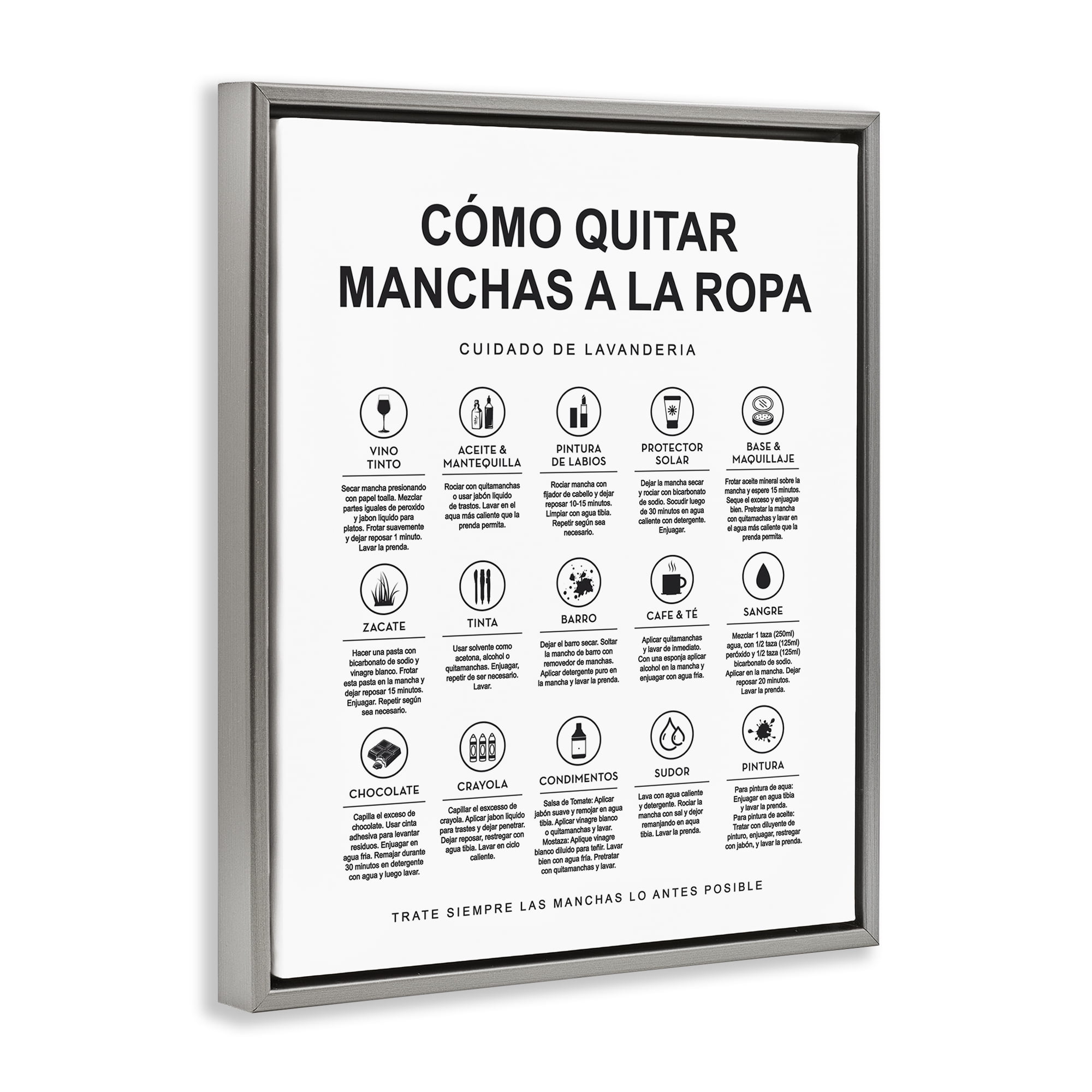 Stupell Industries Guía de Limpieza de Manchas Bath & Laundry Painting Gray Floater Framed Art Print Wall Art, 25 x 31
