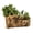 Driftwood, variant on Ceramic Wood Plant Pot | Indoor Planter for Succulents & Flowers (Driftwood Stump)