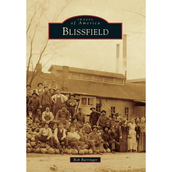 Blissfield (Paperback) by Bob Barringer
