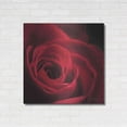 thumbnail image 3 of Luxe Metal Art 'The Red Rose I' by Lori Deiter, Metal Wall Art, 36"x36", 3 of 9