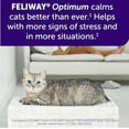 thumbnail image 4 of Cat Calming Diffuser Refills: Pheromone Refill for Cats, Long-Lasting 2-Month Supply, Compatible with Most Diffusers, 3 Pack (Purple), 4 of 6