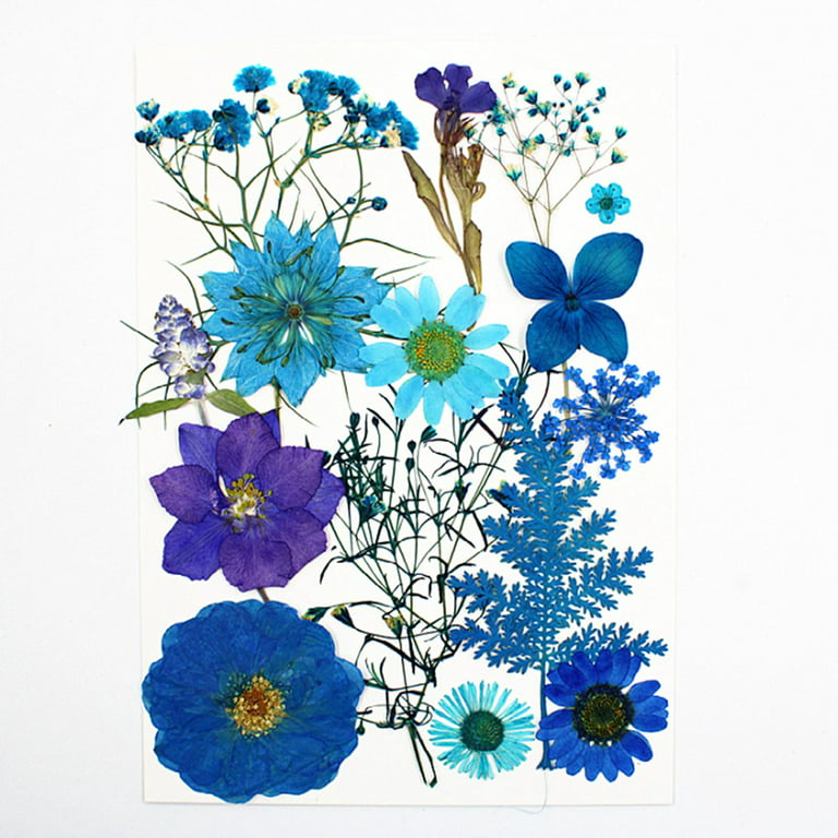 1 Dried Flowers for Resin , Natural Pressed Flowers Leaves for