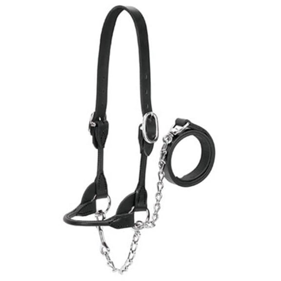 90-0510 Bridle Leather Show Halter - Medium, Black
