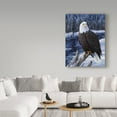 thumbnail image 3 of Trademark Fine Art 'River Watch' Canvas Art by Jeff Tift, 3 of 3