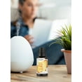 thumbnail image 4 of Warm Vanilla Sugar Fragrance Oil | 0.51 fl oz (15 ml) | by Horbaach, 4 of 7