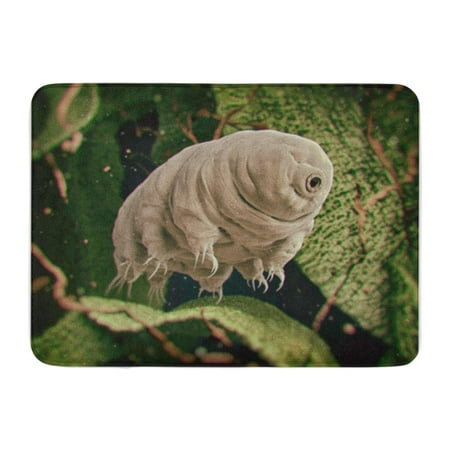 Kdagr Tardigrada Tardigrade Water Bear 3d Rendered Moss Doormat