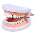 thumbnail image 3 of 2x2 Piezas 18K Cobre CZ Rapper Boca Caps Dientes Cosplay Plata Fernando Tapas de dientes de boca, 3 of 8