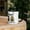 Black, variant on Wake Up Queen Color Inside Mugs Collection by Satin Kush Sentimentals (11oz, Red)