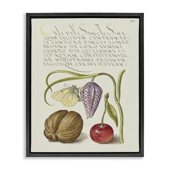 Stupell Industries Woodland Flora Study Text & Numbers Painting Black Floater Framed Canvas Art Print Wall Art, 17 x 21