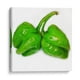 thumbnail image 1 of Cuadro decorativo - Habanero, Chef Capellini 70x70 Canvas Lab Alimentos, Cocina (comida y bebidas),, 1 of 2