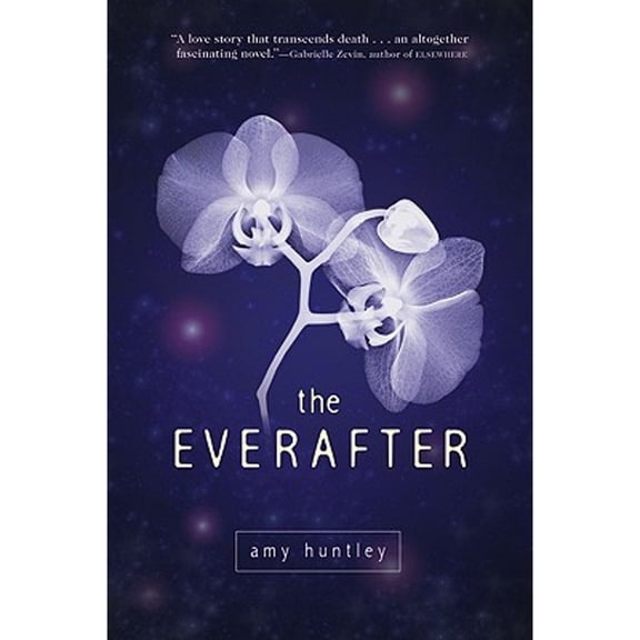 Pre-Owned The Everafter (Hardcover) by Amy Huntley