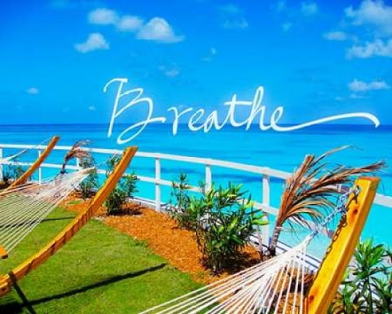 Breathe Canvas Art - Susan Bryant(22X28)