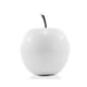 thumbnail image 1 of Manzana Blanca Modern Day Accents, LLC 3472, 1 of 1