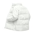 thumbnail image 5 of PNTUTB Fall Winter Men's Puffer Jacket Full Zip Stand Collar Coat Solid Color Quilted Casual Warm Comfort Trendy Outwear with Pockets, 5 of 7