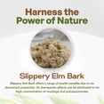 thumbnail image 3 of Slippery Elm Bark Extract Powder Organic, 10:1 Extract - 8oz. Ulmus Rubra, Slippery Elm Supplement, Slippery Elm Powder, 3 of 5