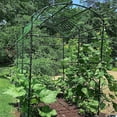 thumbnail image 4 of Lilypelle Tall Garden Arch Trellis with Greenhouse Cover for Climbing Plants, 87in Tall Metal Plant Support Trellis Archway for Climbing Vine Vegetable/Fruit/Flower Outdoor Garden Arch Tunnel Trellis, 4 of 8