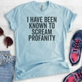 thumbnail image 2 of I Have Been Known To Scream Profanity T-shirt, Unisex Women's Men's Shirt, Sassy Shirt, Heather Light Blue, 3X-Large, 2 of 6