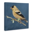 thumbnail image 3 of Stupell Industries French Country Traditional Yellow Bird Canvas Art, 36 x 36, by Lanie Loreth, 3 of 8