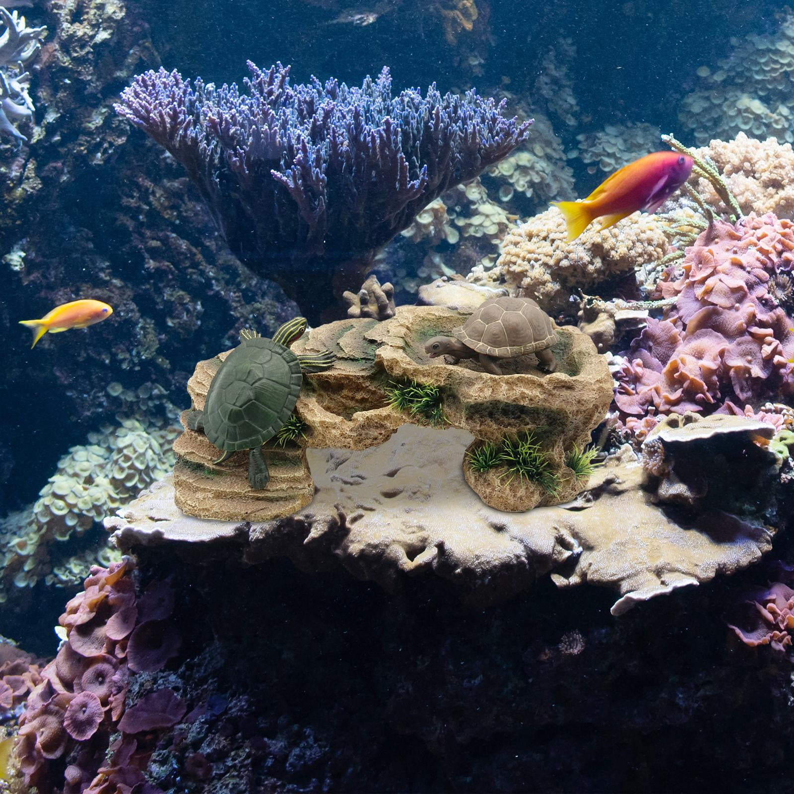 TOOYFUL Turtle Eel Platform, Climbing Ramp, Climbing Platform, Reptile Habitat, Resin Dock, Bearded Dragons, Aquatic Reptiles, Amphibians M