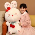 thumbnail image 5 of Conejo de cerezas de peluche para niños, muñeco de peluche de 30-70cm, adorable conejo de peluche, adorable regalo de cumpleaños, 5 of 5