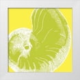 thumbnail image 3 of N Harbick 26x26 White Modern Wood Framed Wall Art Titled - Graphic Shell II, 3 of 5