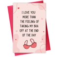 thumbnail image 1 of Tarjeta de San Valentín Rude for Husband from Wife Funny Bra, 1 of 7