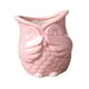 thumbnail image 4 of Maceta de cerámica con forma de búho, mini macetero para bonsái, ideal como regalo de cumpleaños Sin olor Rosa, 4 of 9