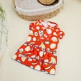 thumbnail image 2 of Adorable Pet Clothes for Cats & Small Dogs - Charming Spring & Autumn Wear Pet Dress, 2 of 5