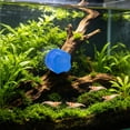 thumbnail image 6 of Magnetic Aquarium Glass Cleaner, Fish Tank Algae Scraper with Strong Magnet, No Scratch Aquarium Glass Cleaning Tool, Compact Mini Brush for Aquarium Maintenance, 6 of 7