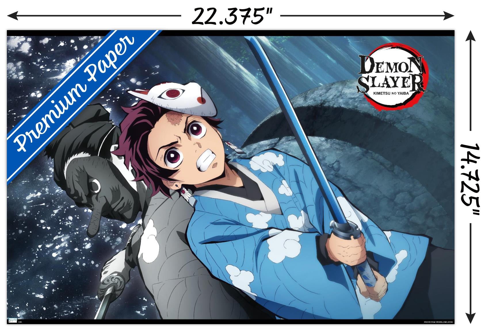 Demon Slayer - Tanjiro & Urokodaki Forest Wall Poster, 14.725" x 22.375"