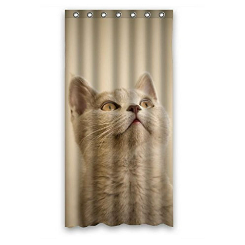 HelloDecor Curious Cats Shower Curtain Polyester Fabric Bathroom ...