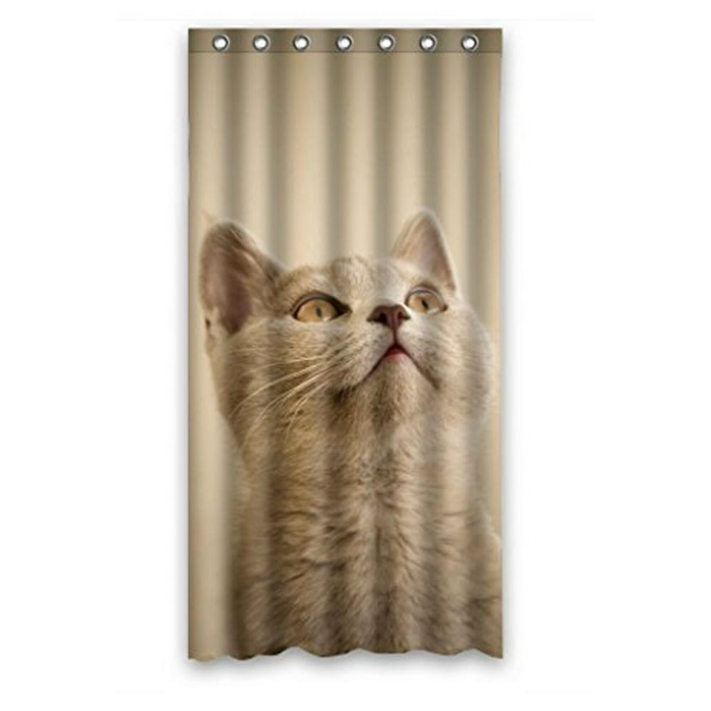 HelloDecor Curious Cats Shower Curtain Polyester Fabric Bathroom